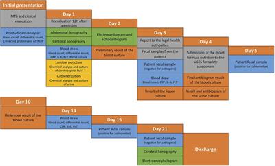 Case Report: Non-typhoidal Salmonella infections transmitted by reptiles and amphibians